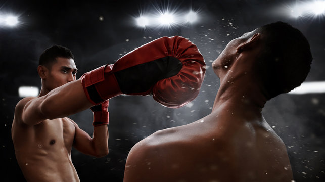 Decoding the Art of Live Boxing