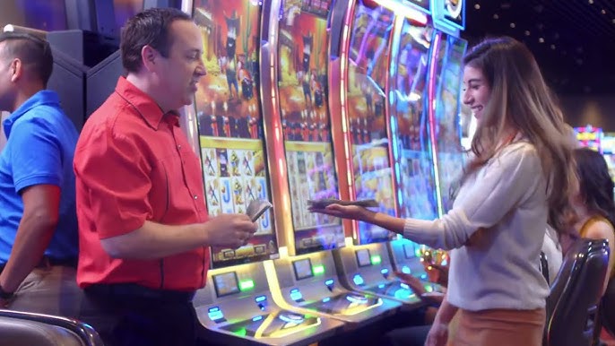 Slot Casinos: The Evolution and Future of Slot Gaming